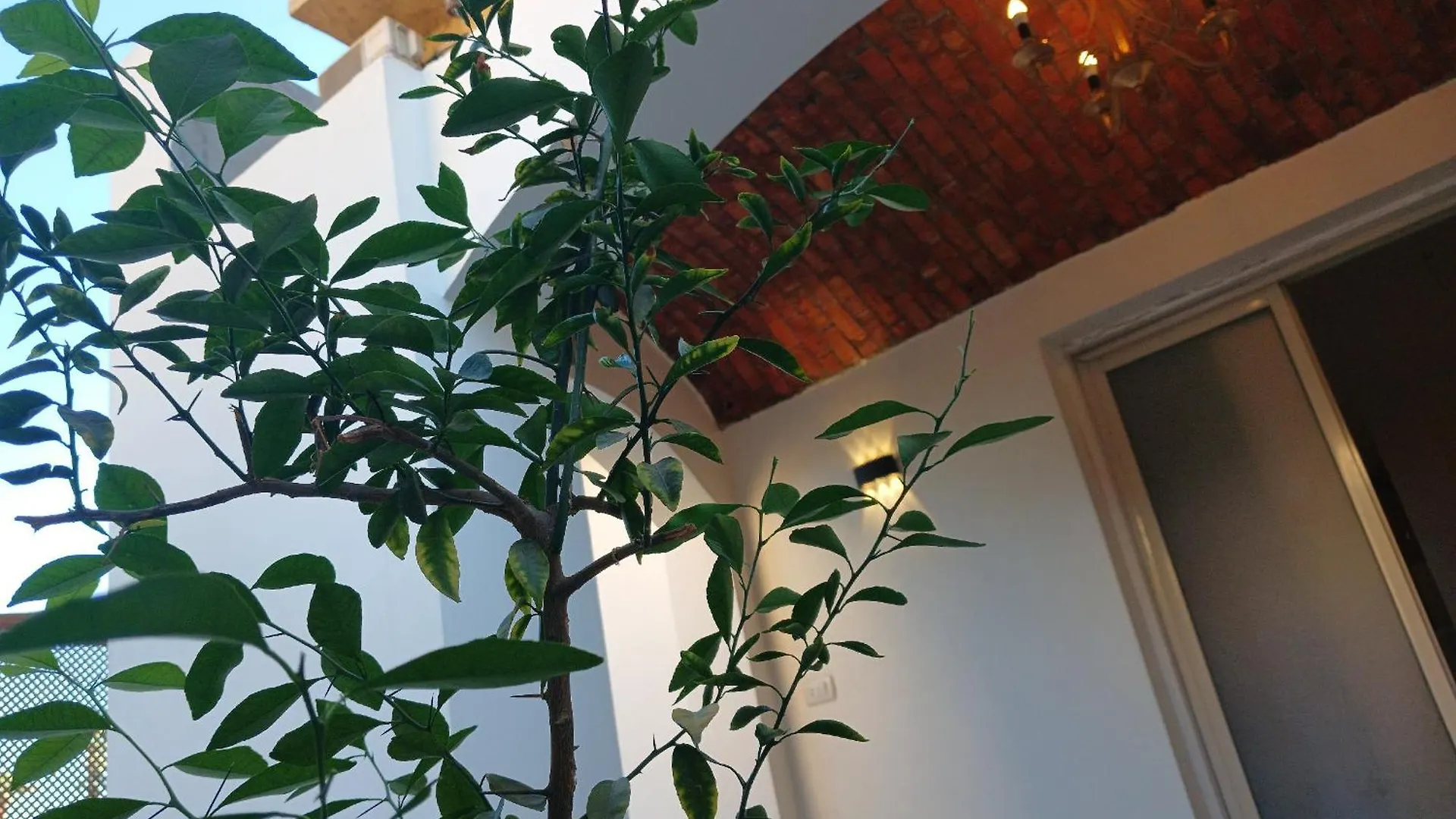 Modern Winter Apartment Aparthotel Luxor
